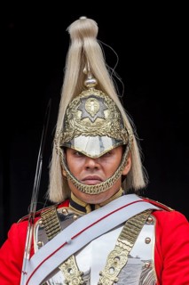 Horse Guard