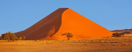 Dune