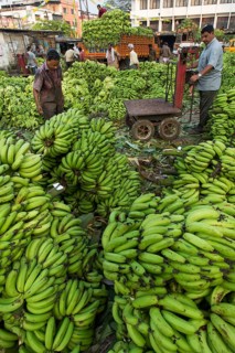 Banana sellers and workers on the Broadway Market