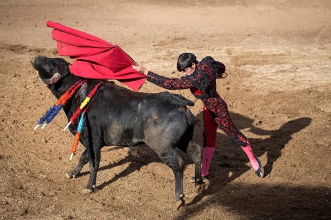 Bullfighter performing a ""Veronica""