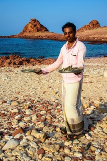 Man presenting fresh shrimps