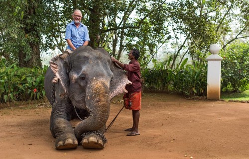 Tourist riding an elephant and mahout or elephant guide
