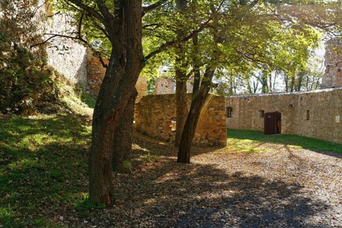 Burgruine Landsee castle ruins