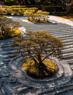 Rock garden