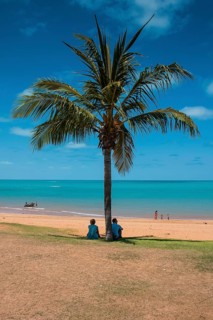 Tourists underneath a palm