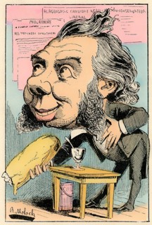 The candidate