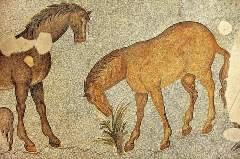 6th century Byzantine Roman mosaic of horses