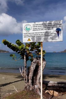 Warning sign on the beach