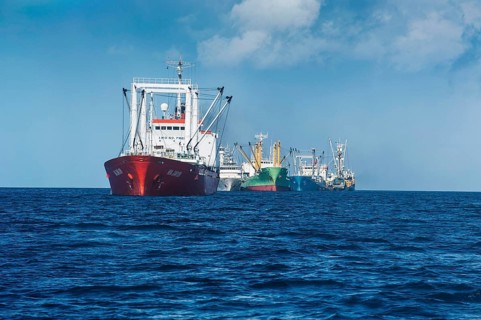 Chinese fishing trawlers