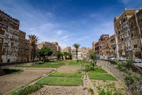 Traditional old houses in the old city of Sana'a