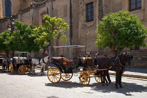 Carriages in the old town
