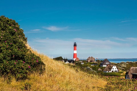 Thatched Frisian houses with lighthouse