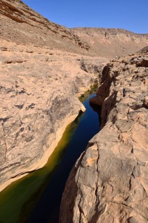 Water in a guelta at Idaran Canyon