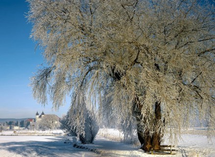 Hoarfrost at Schlehdorf Abbey