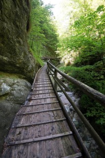 Wooden boardwalk in the Nothklamm gorge