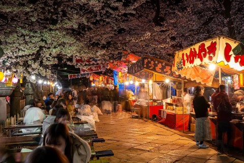 Food stalls with Japanese food at night