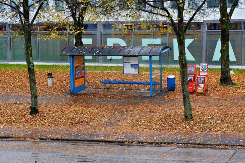 A bus stop surrounded by autumn foliage in the rain