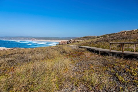 Wooden walkway to a lookout point
