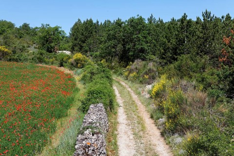 Long-distance footpath