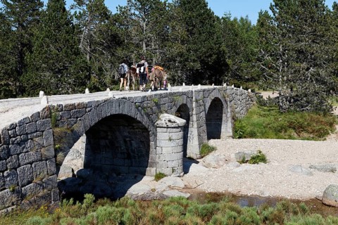 Pont du Tarn