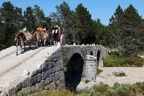 Pont du Tarn