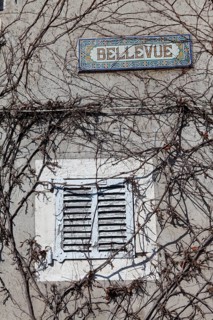 Window with closed shutters