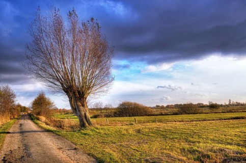 Naturschutzgebiet Kirchwerder Wiesen nature reserve