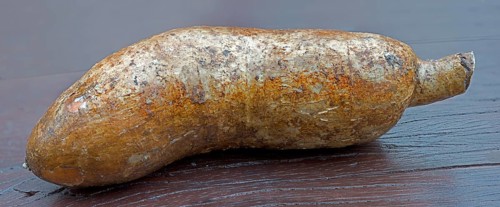 Manioc or Cassava (Manihot esculenta)