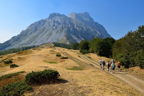 Group of hikers on a trail to Kom Vasojevicki
