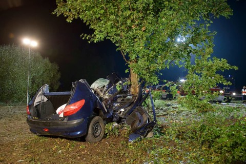 The wreckage of a Peugeot after fatally crashing into a tree