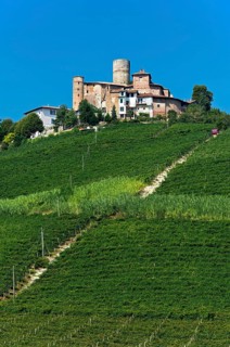 The castle of Castiglione Falletto above vineyards