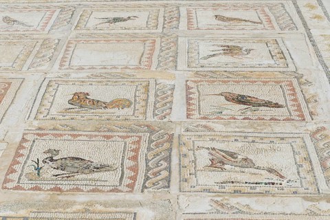 Floor mosaic depicting birds