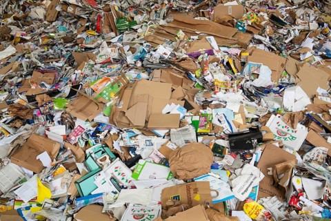 Cardboard and waste paper