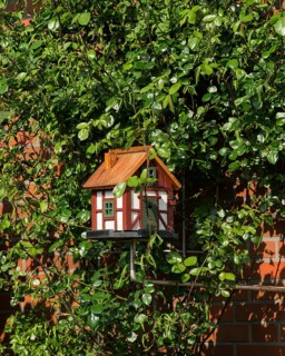 Garden ornament