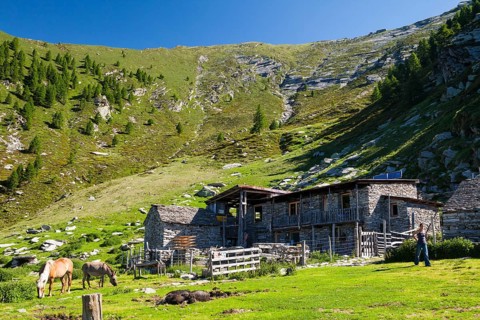 Alpine life at Rifugio Alpe Nimi