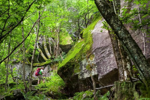 Man hiking in the primeval forest of the Bavona Valley