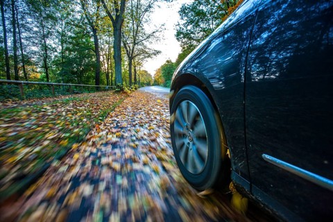 Car driving on a street covered with leaves