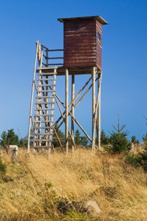 Raised hide near Heiligenborn
