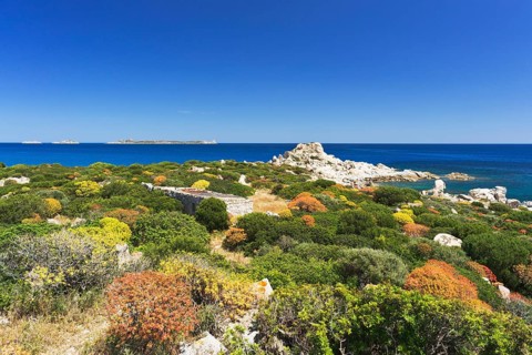 House and Macchia shrubland on the beach of Punta Molentis