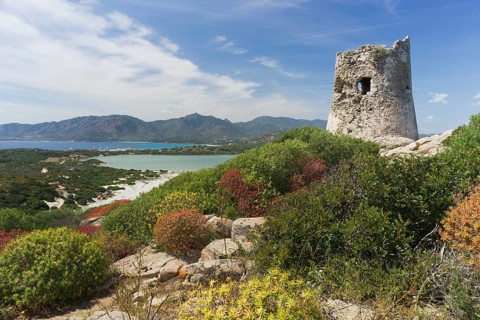 Saracen tower