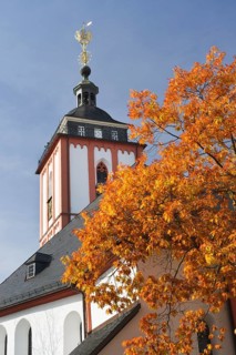 Kroenchen sculpture on the steepletop of Nikolaikirche Church