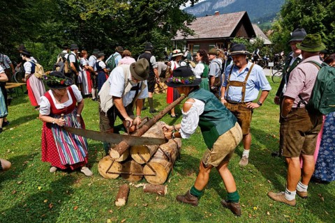 Gamstrophy competition