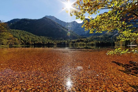 Lake Hinterer Langbathsee with beech leaves