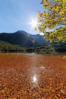 Lake Hinterer Langbathsee with beech leaves