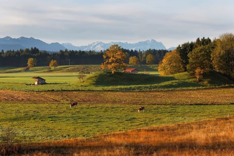 Landscape near the Osterseen lakes in the early morning