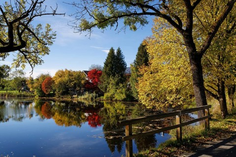 Lake Degerndorfer Weiher