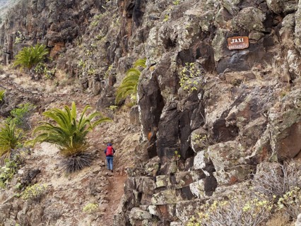 Woman wearing a backpack while hiking along a hiking trail
