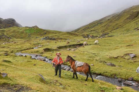Indio mountain guide with colourful poncho with horse
