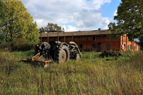 Old Fendt tractor from 1969 on a meadow