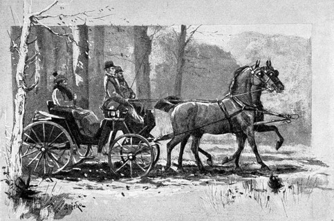 Kaiser Wilhelm II in a horse-drawn hunting carriage